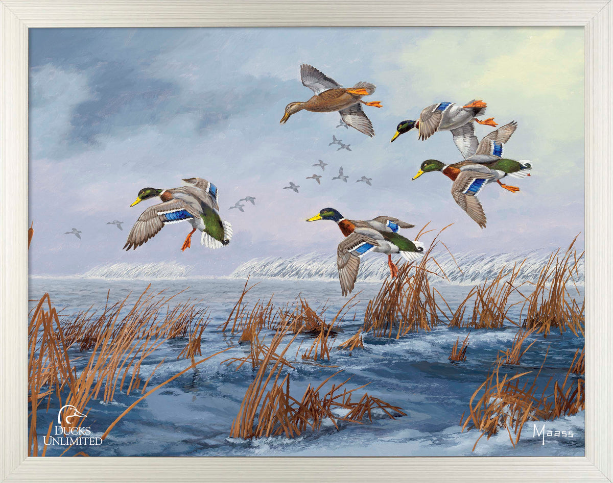 After a Passing Squall Art Prints - Official Ducks Unlimited Art