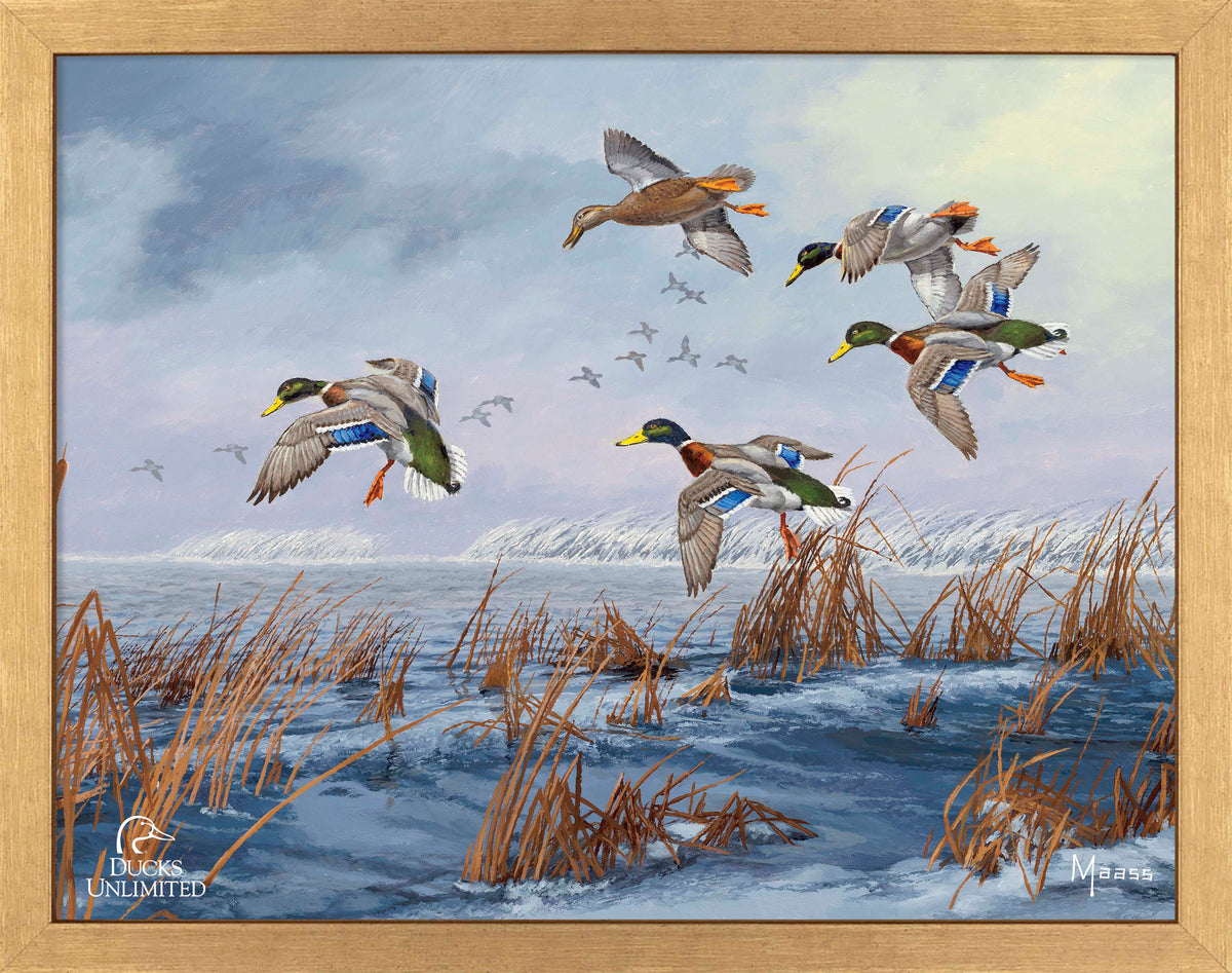 After a Passing Squall Art Prints - Official Ducks Unlimited Art
