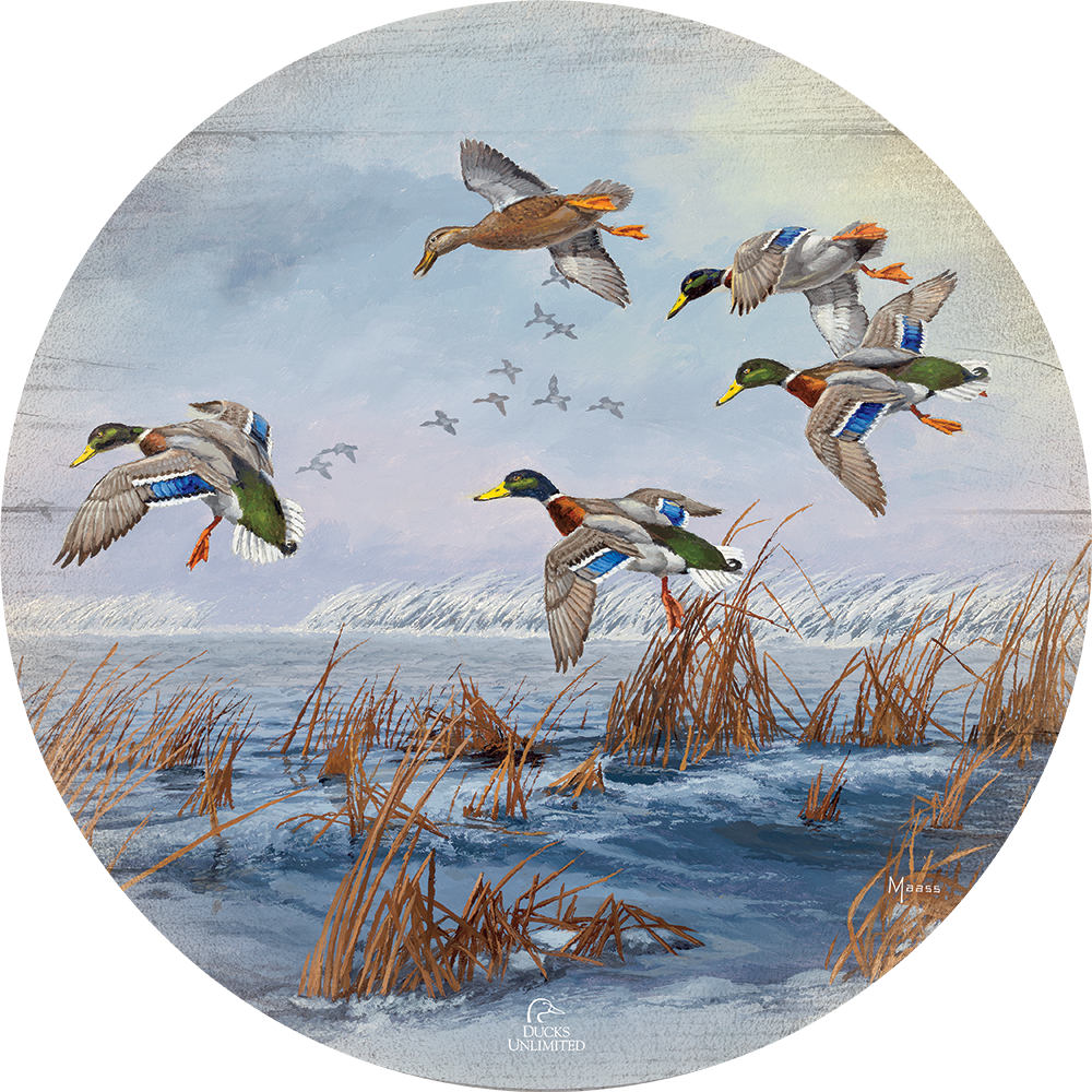 After a Passing Squall 21" Round Wood Sign - Official Ducks Unlimited Art