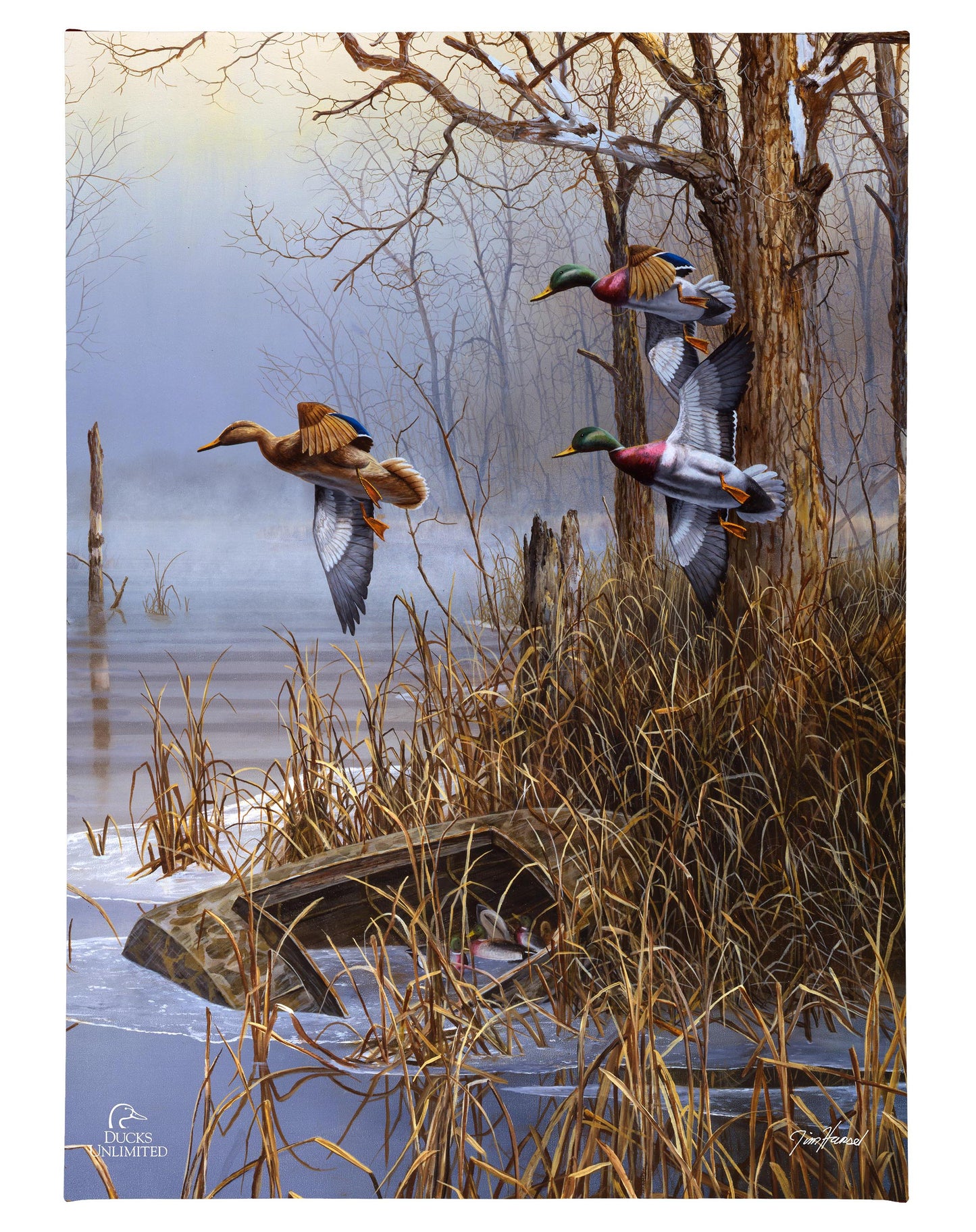 After the Thaw  Gallery Wrapped Canvas - Official Ducks Unlimited Art