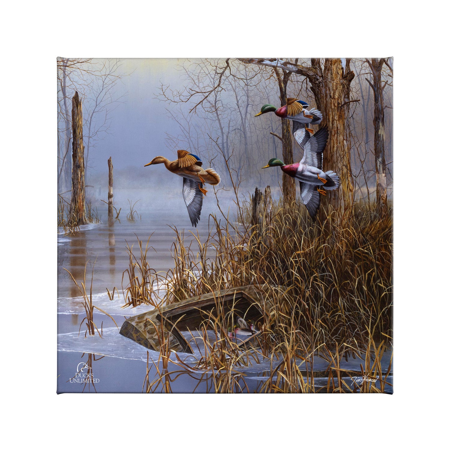 After the Thaw  Gallery Wrapped Canvas - Official Ducks Unlimited Art