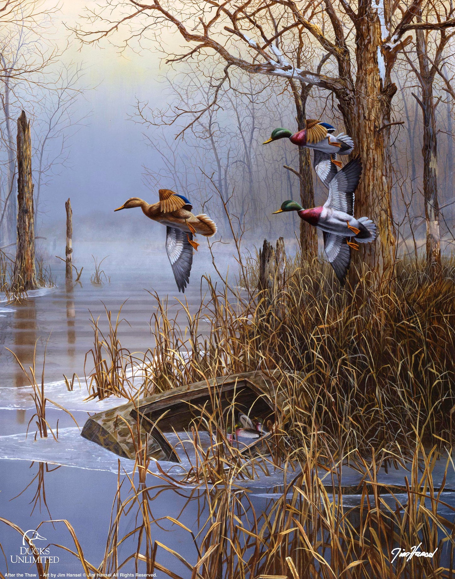 After the Thaw Art Prints - Official Ducks Unlimited Art