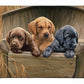 All Hands on Deck Gallery Wrapped Canvas - Official Ducks Unlimited Art