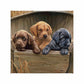 All Hands on Deck Gallery Wrapped Canvas - Official Ducks Unlimited Art