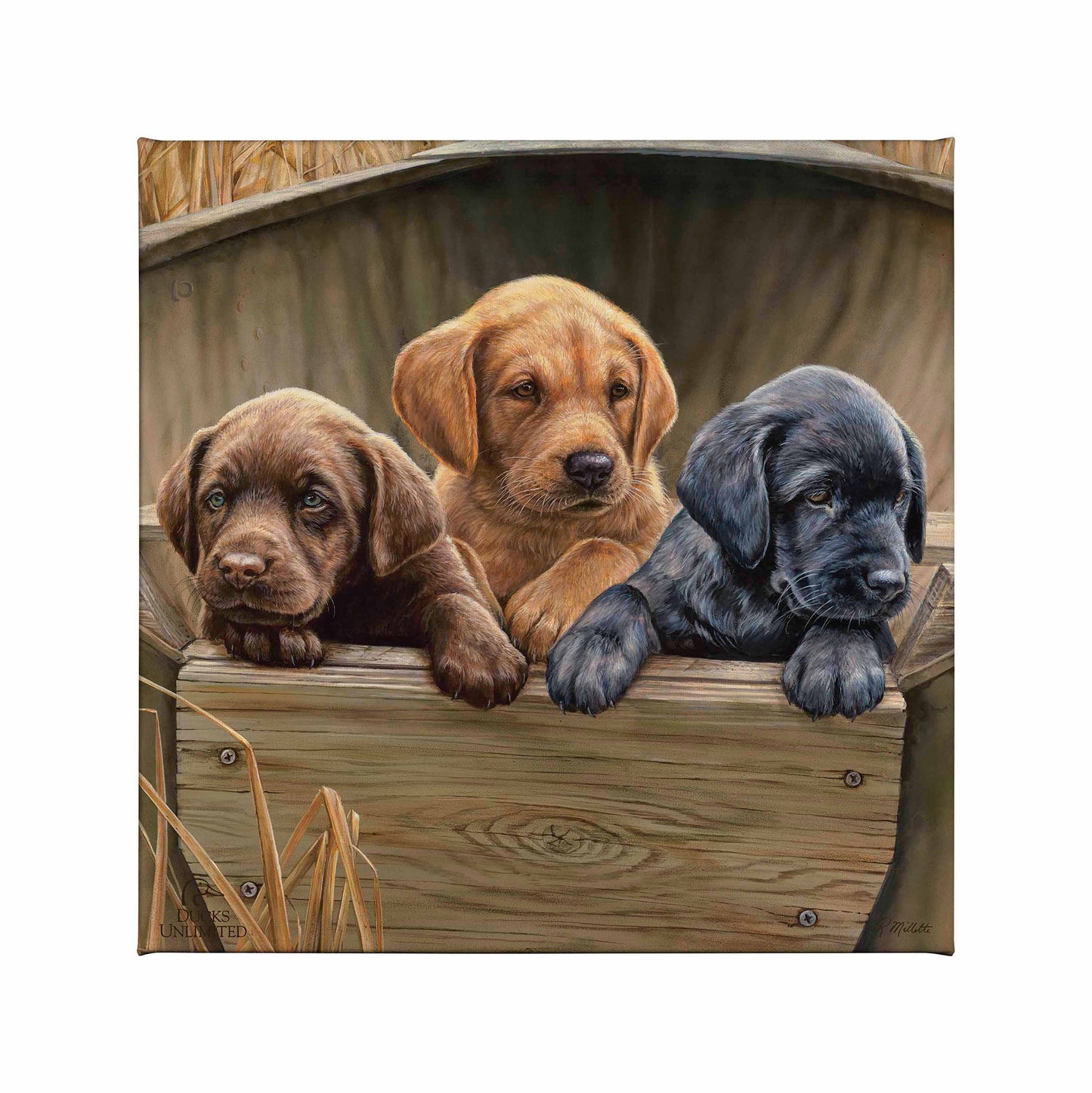 All Hands on Deck Gallery Wrapped Canvas - Official Ducks Unlimited Art