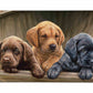 All Hands on Deck Gallery Wrapped Canvas - Official Ducks Unlimited Art