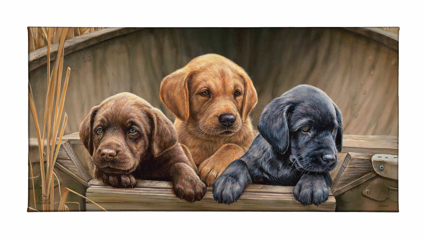 All Hands on Deck Gallery Wrapped Canvas - Official Ducks Unlimited Art