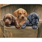 All Hands on Deck Gallery Wrapped Canvas - Official Ducks Unlimited Art