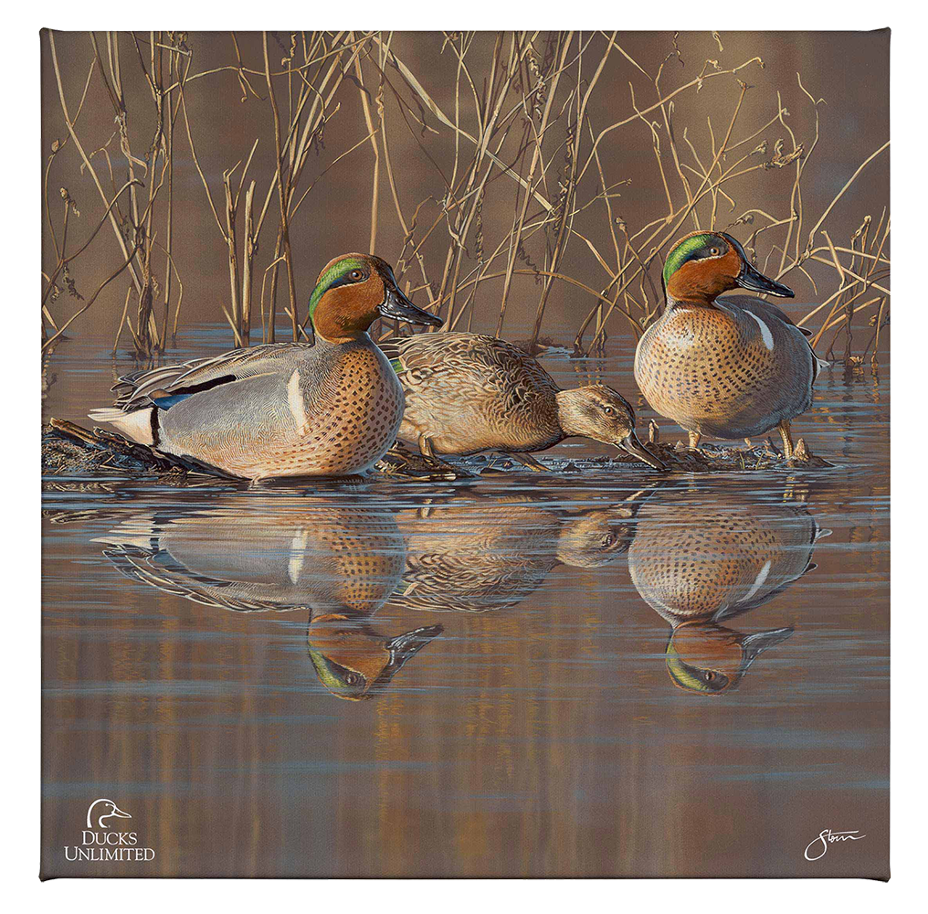 Amber Waters Gallery Wrapped Canvas - Official Ducks Unlimited Art