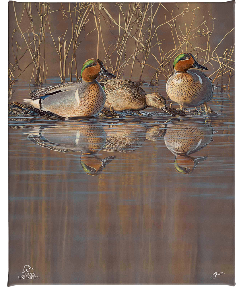 Amber Waters Gallery Wrapped Canvas - Official Ducks Unlimited Art