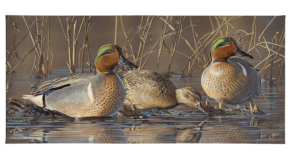 Amber Waters Gallery Wrapped Canvas - Official Ducks Unlimited Art
