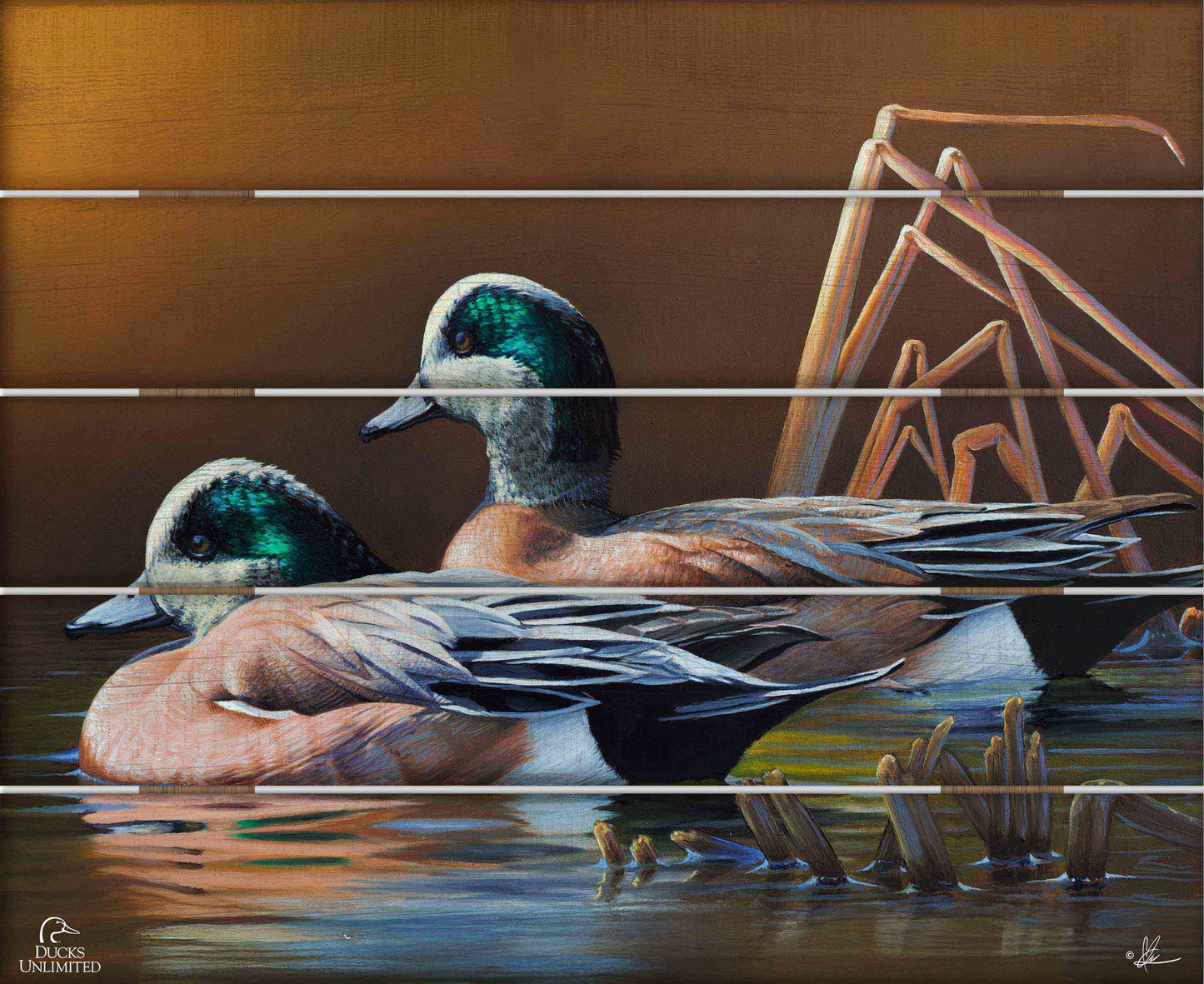 American Widgeon 18" x 22" Pallet Wall Art - Official Ducks Unlimited Art