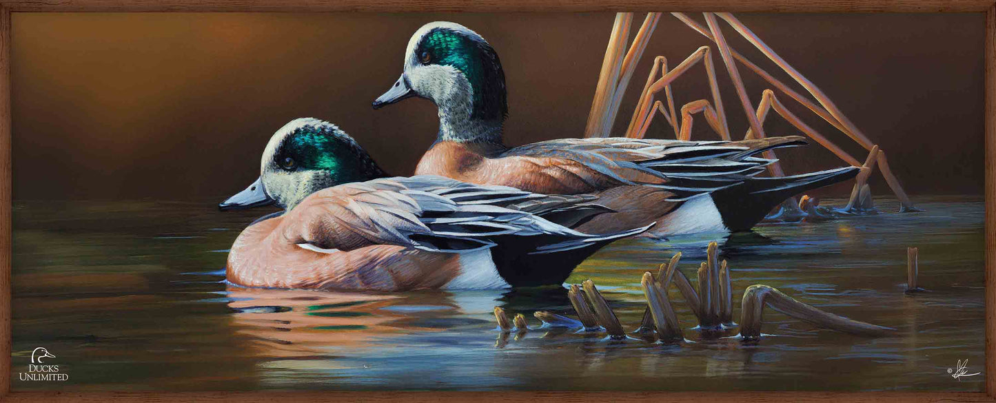 American Widgeon 12" x 30" Wood Sign - Official Ducks Unlimited Art