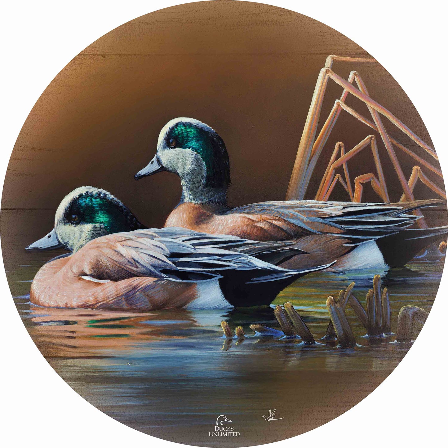 American Widgeon 21" Round Wood Sign - Official Ducks Unlimited Art