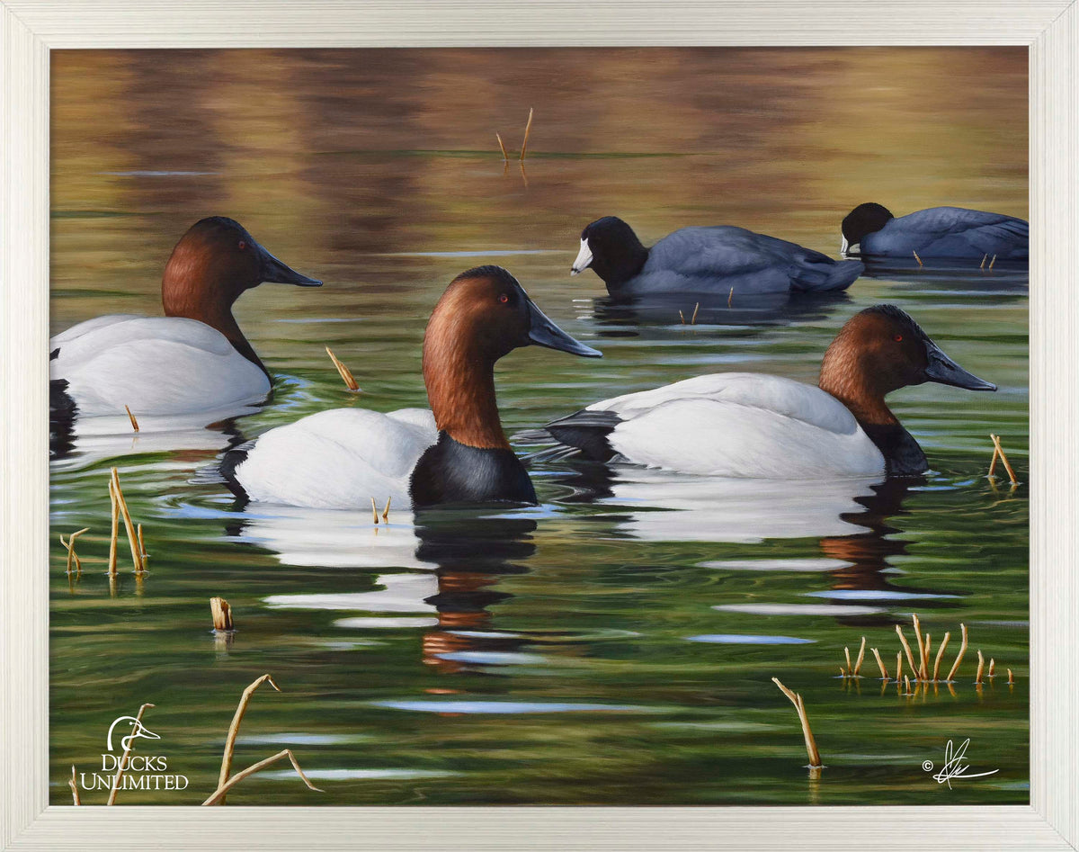 Among Kings and Paupers Art Prints - Official Ducks Unlimited Art