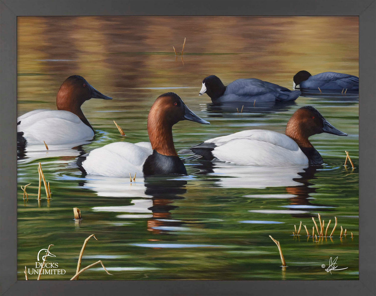 Among Kings and Paupers Art Prints - Official Ducks Unlimited Art