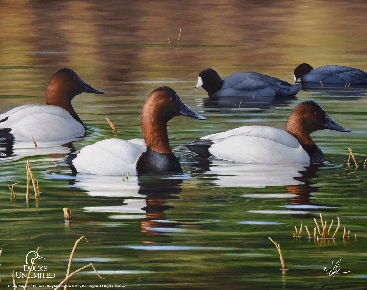 Among Kings and Paupers Art Prints - Official Ducks Unlimited Art