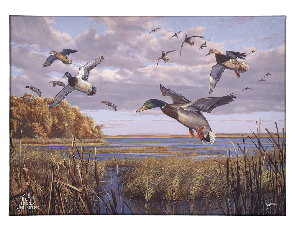Autumn Rendezvous Gallery Wrapped Canvas - Official Ducks Unlimited Art