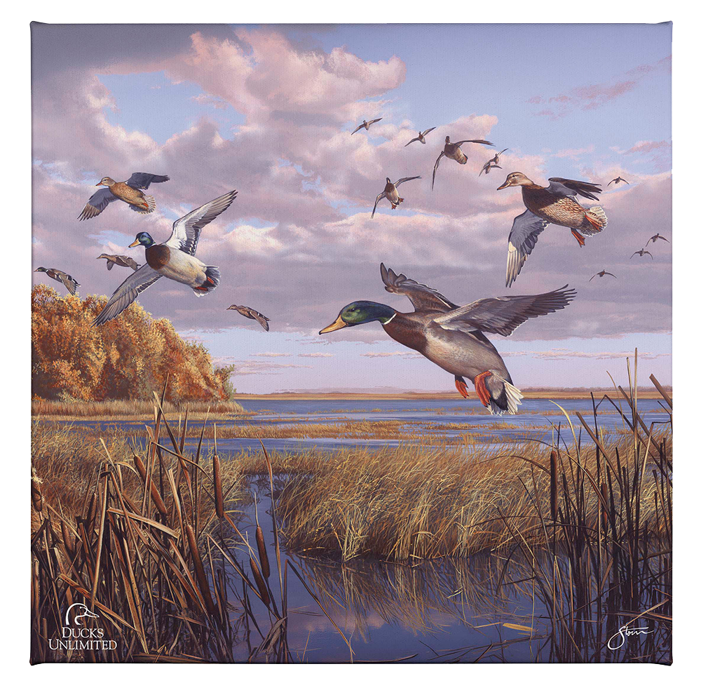 Autumn Rendezvous Gallery Wrapped Canvas - Official Ducks Unlimited Art
