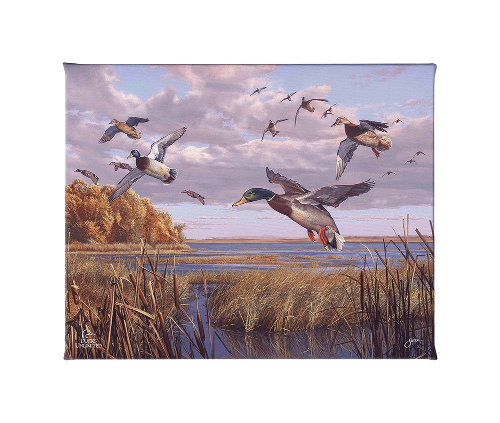 Autumn Rendezvous Gallery Wrapped Canvas - Official Ducks Unlimited Art