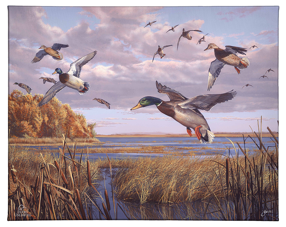 Autumn Rendezvous Gallery Wrapped Canvas - Official Ducks Unlimited Art