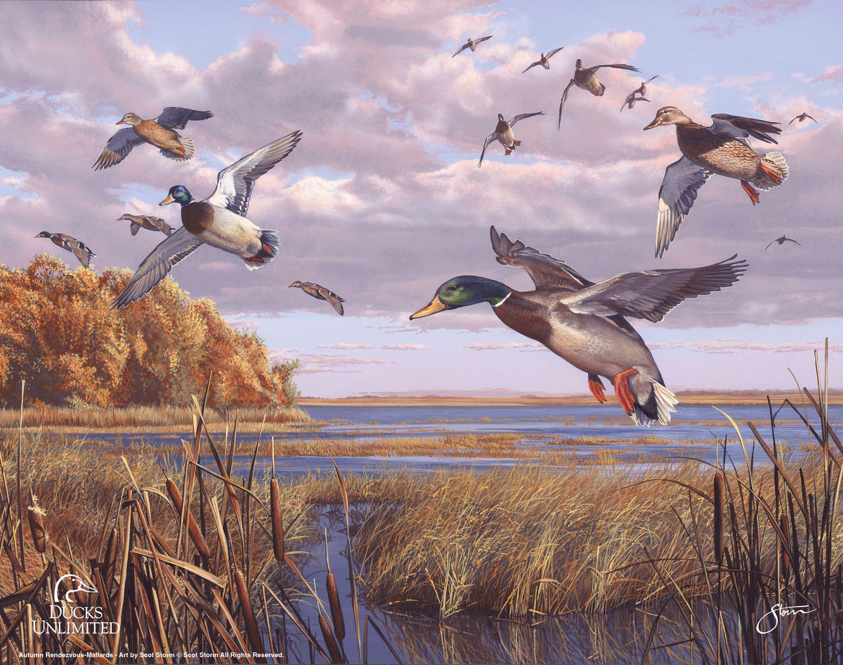 Autumn Rendezvous Art Prints - Official Ducks Unlimited Art