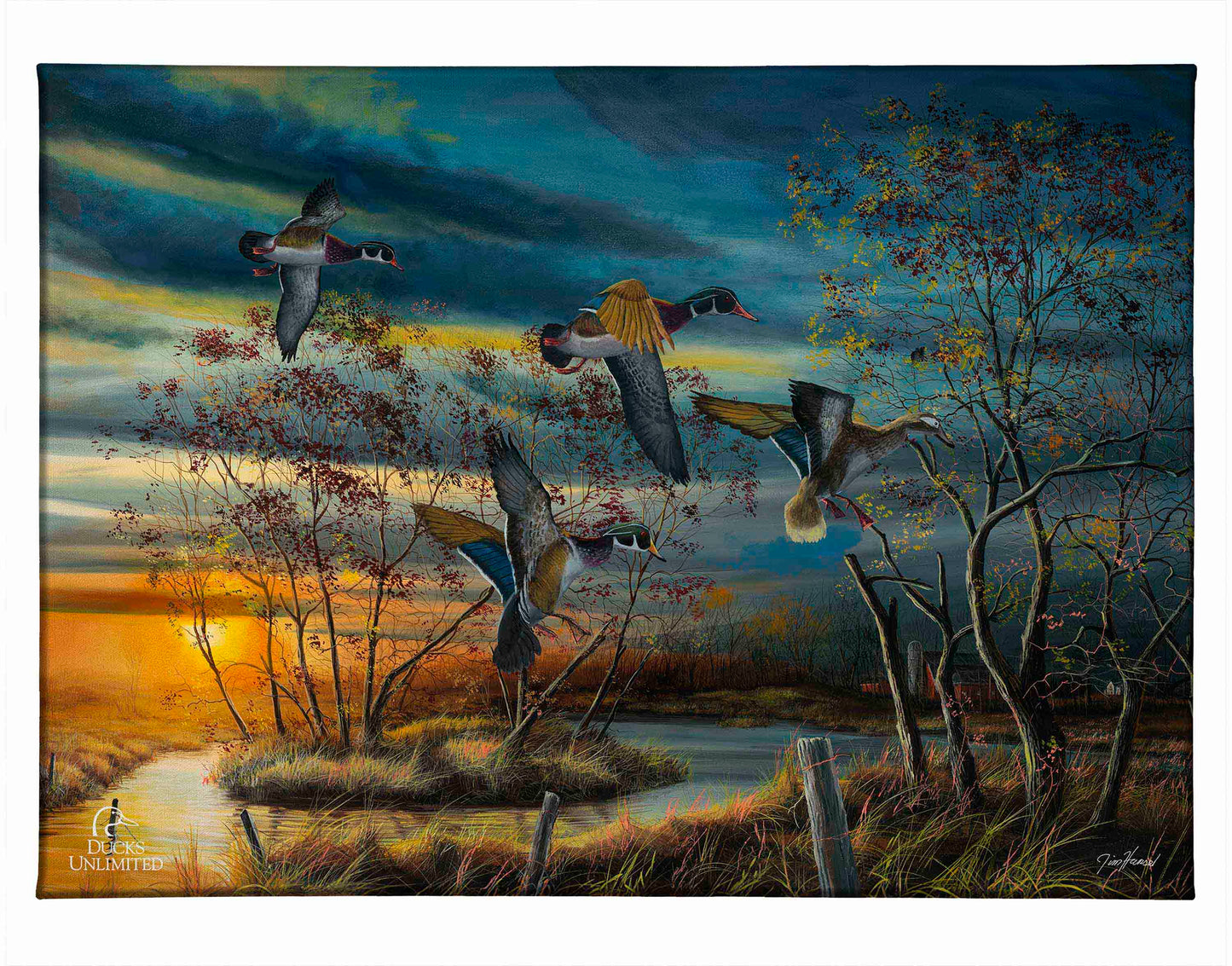 Autumn Splendor Gallery Wrapped Canvas - Official Ducks Unlimited Art