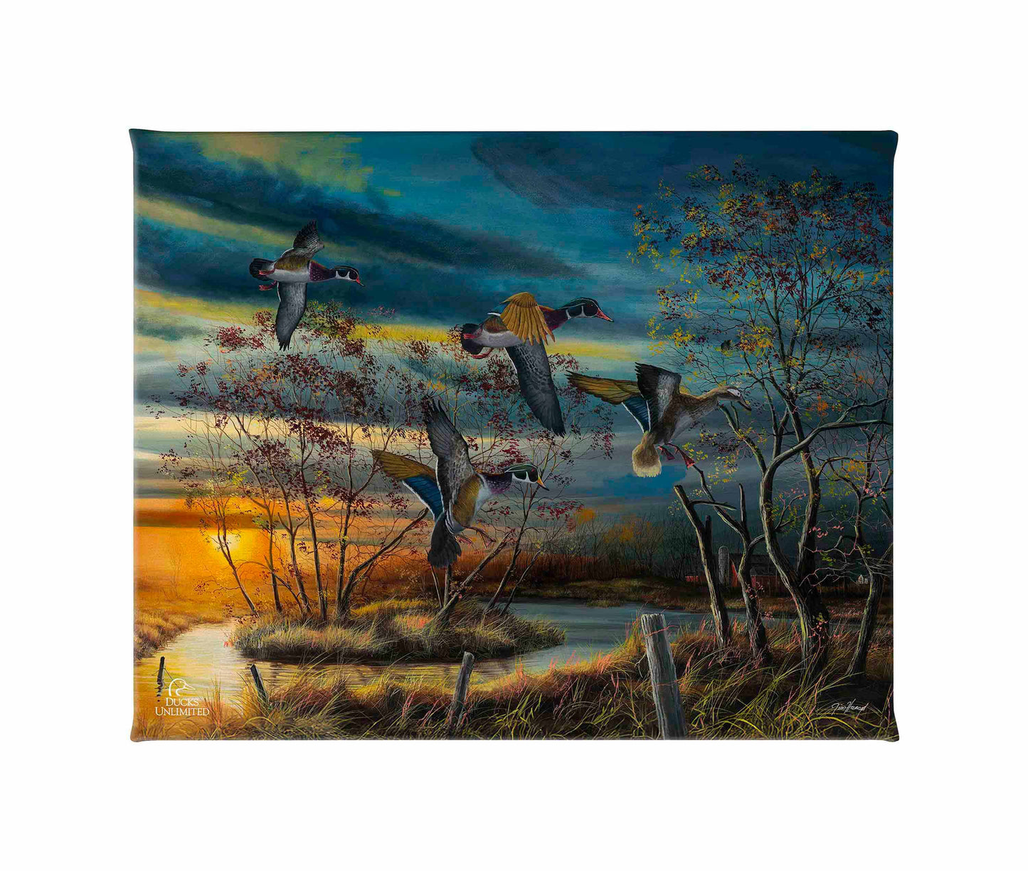 Autumn Splendor Gallery Wrapped Canvas - Official Ducks Unlimited Art