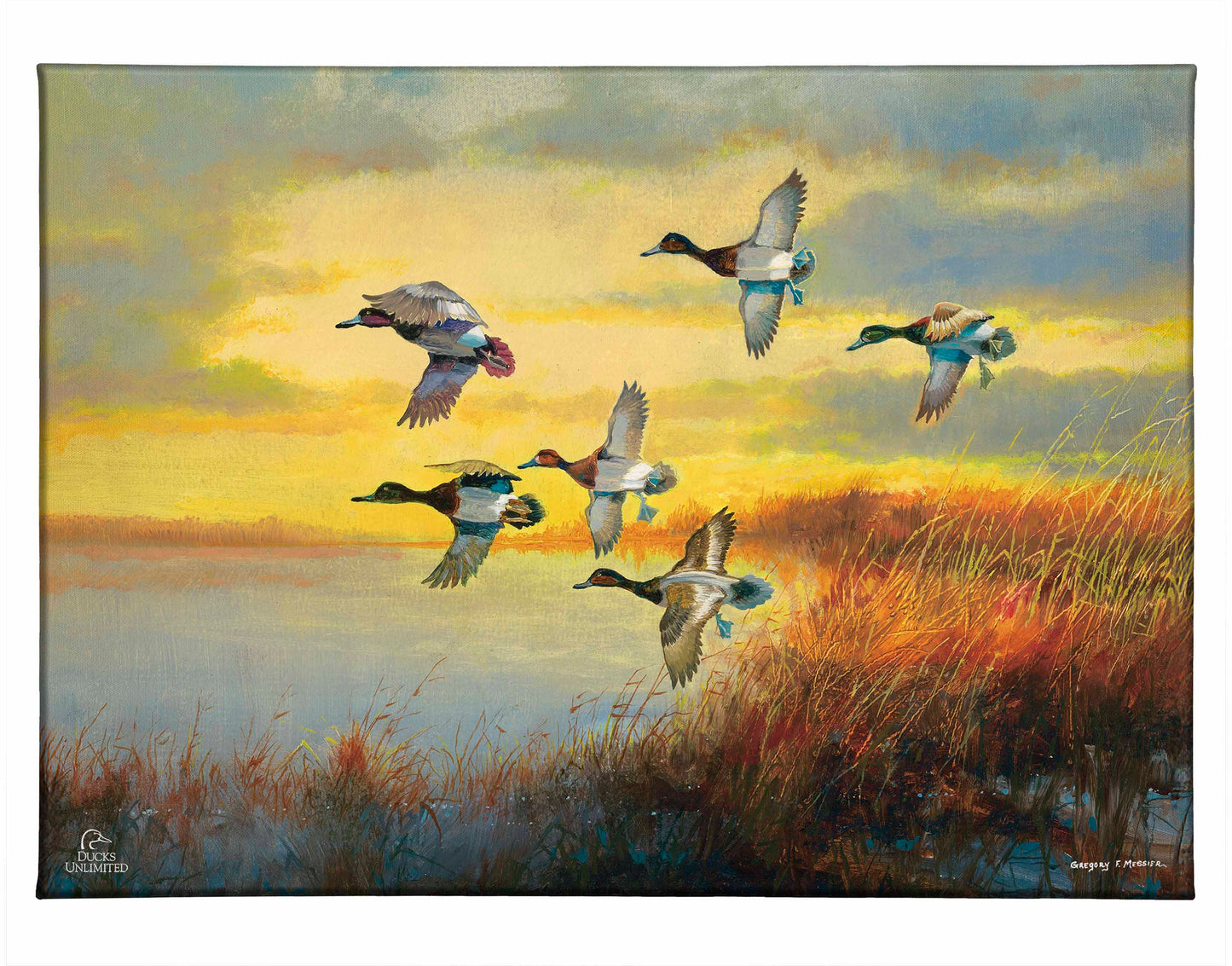 Autumn Sunrise - Bluebills Gallery Wrapped Canvas - Official Ducks Unlimited Art