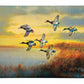 Autumn Sunrise - Bluebills Gallery Wrapped Canvas - Official Ducks Unlimited Art