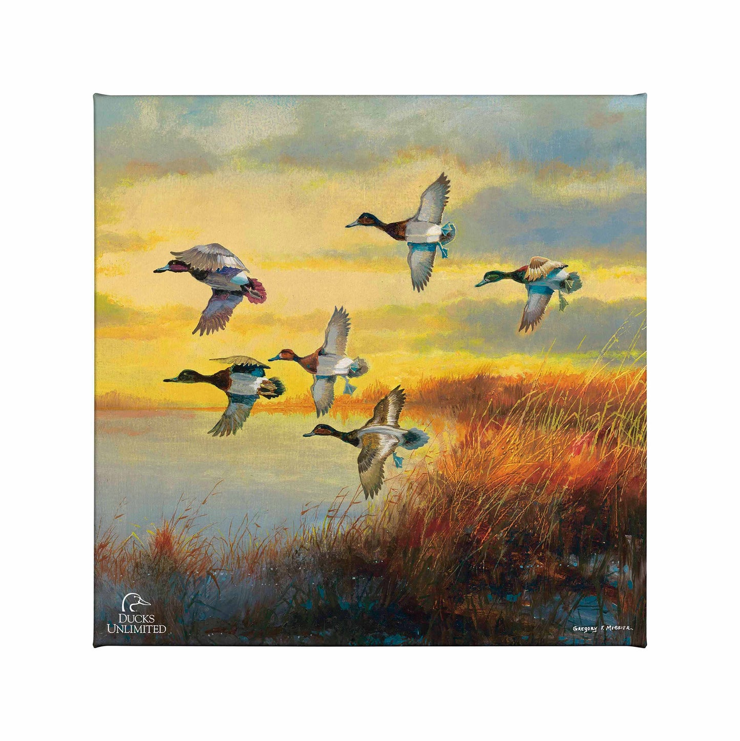 Autumn Sunrise - Bluebills Gallery Wrapped Canvas - Official Ducks Unlimited Art