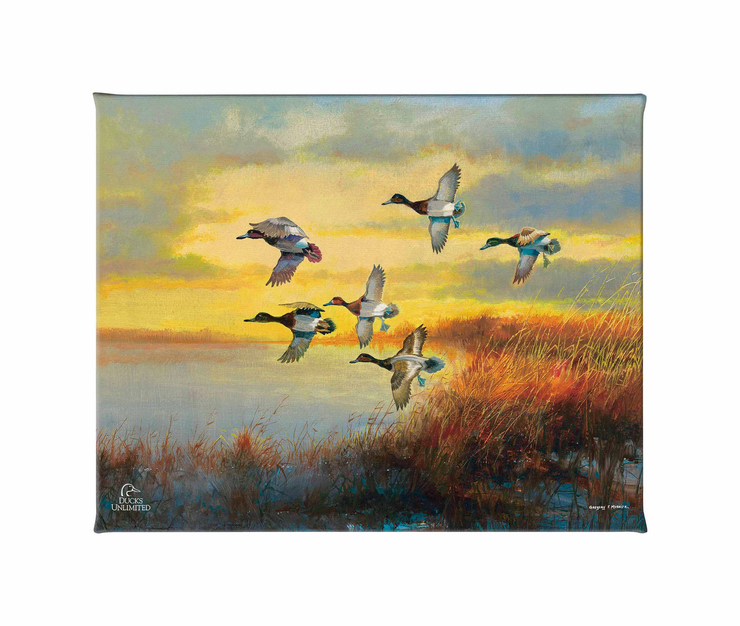 Autumn Sunrise - Bluebills Gallery Wrapped Canvas - Official Ducks Unlimited Art