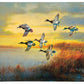 Autumn Sunrise - Bluebills Gallery Wrapped Canvas - Official Ducks Unlimited Art