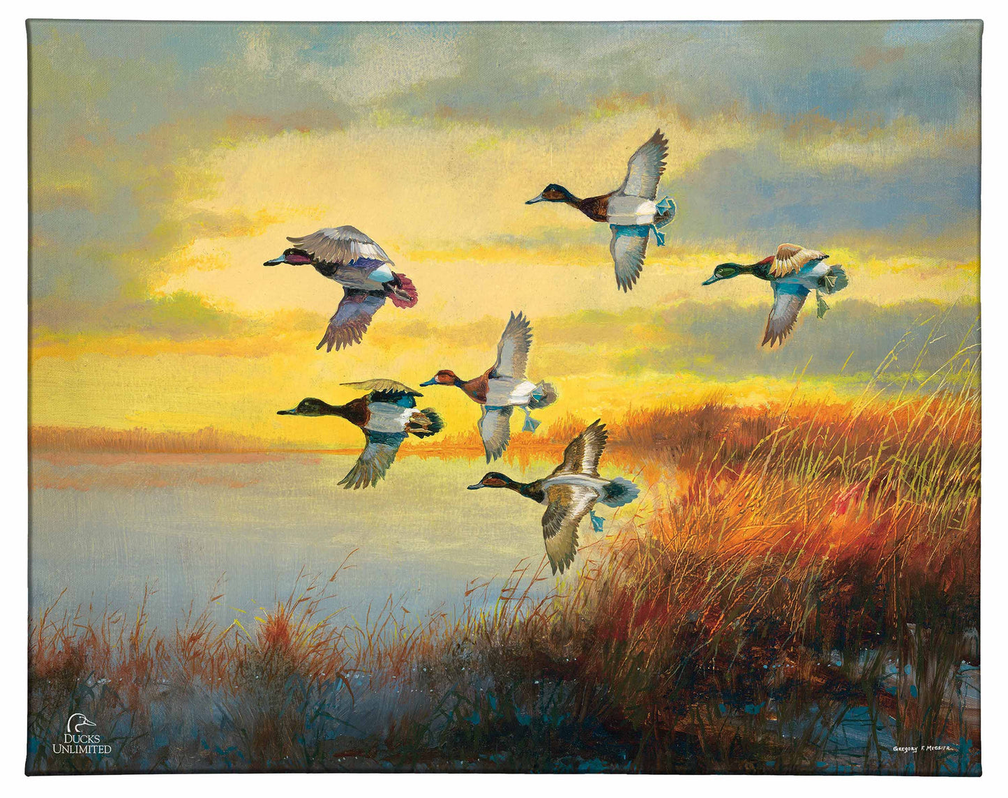 Autumn Sunrise - Bluebills Gallery Wrapped Canvas - Official Ducks Unlimited Art