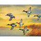 Autumn Sunrise - Bluebills Gallery Wrapped Canvas - Official Ducks Unlimited Art