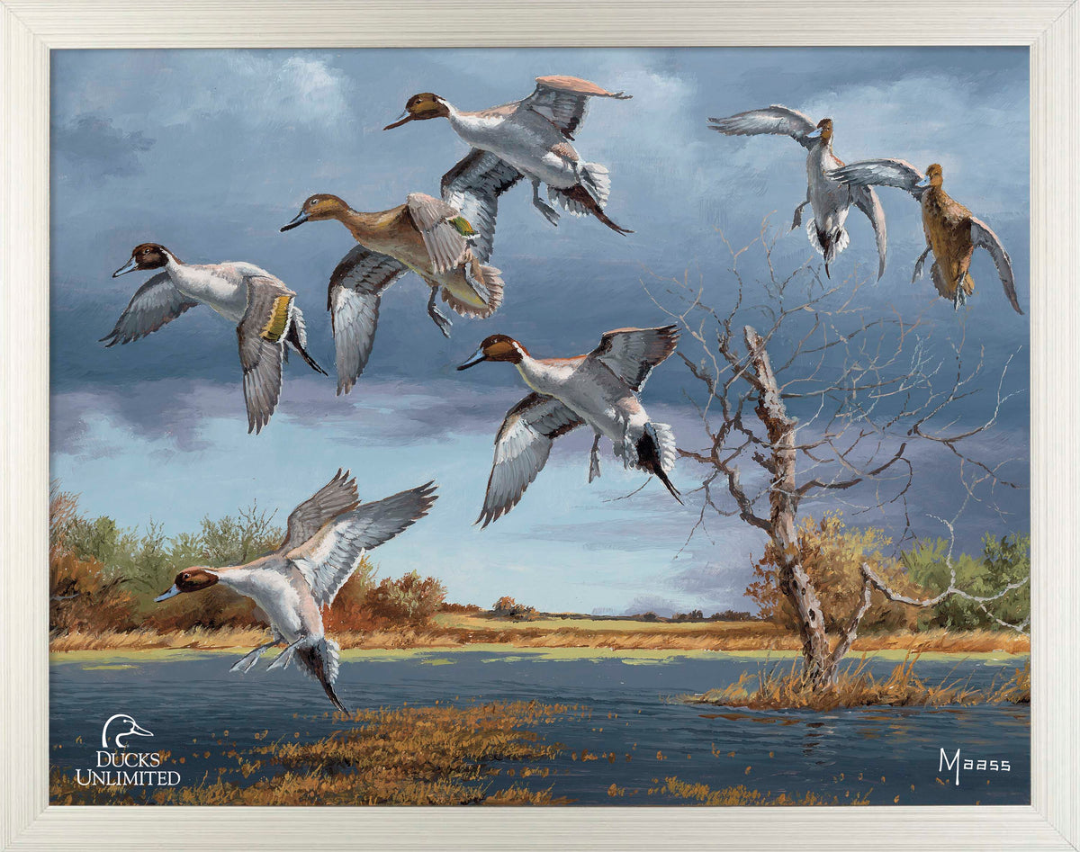 Autumn's Bounty Art Prints - Official Ducks Unlimited Art