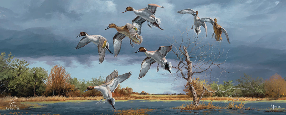 Autumn's Bounty 12" x 30" Wood Sign - Official Ducks Unlimited Art