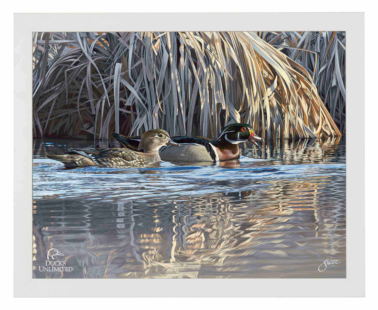 Backwater Gathering Art Prints - Official Ducks Unlimited Art