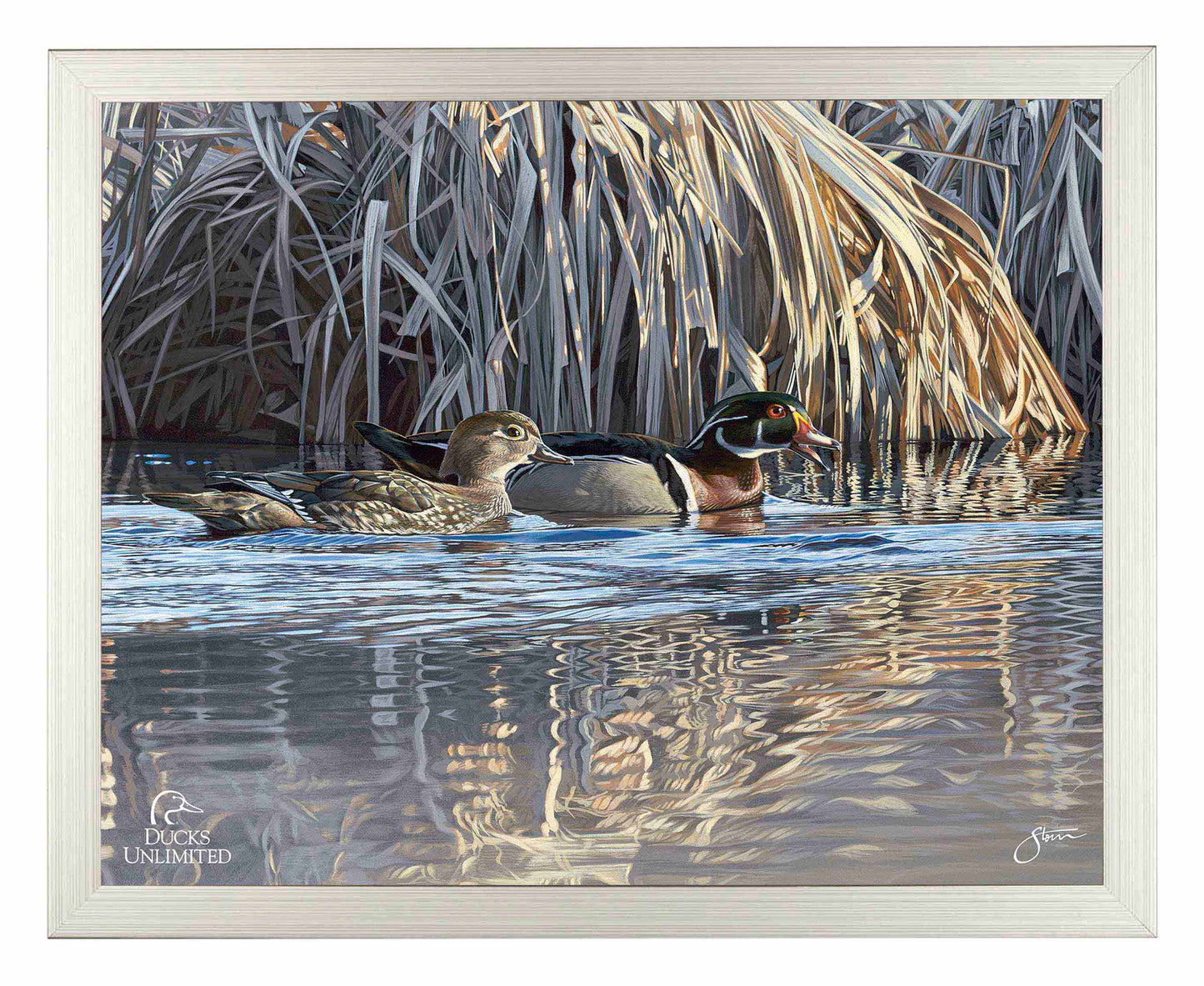 Backwater Gathering Art Prints - Official Ducks Unlimited Art