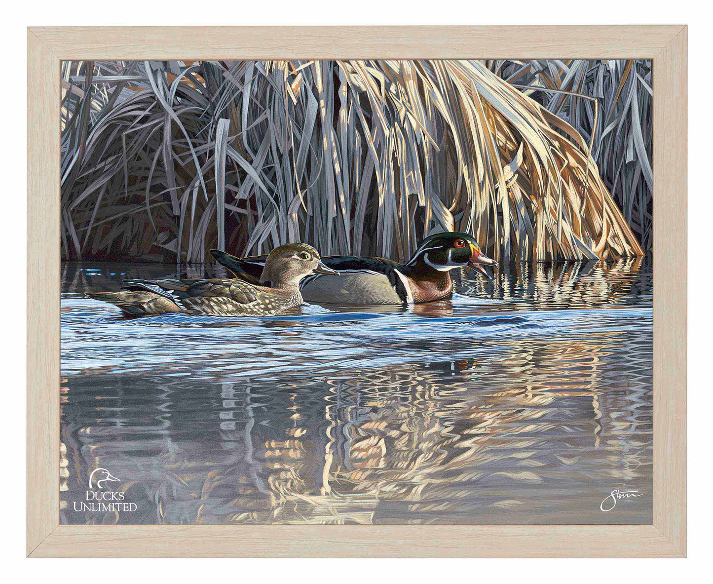 Backwater Gathering Art Prints - Official Ducks Unlimited Art