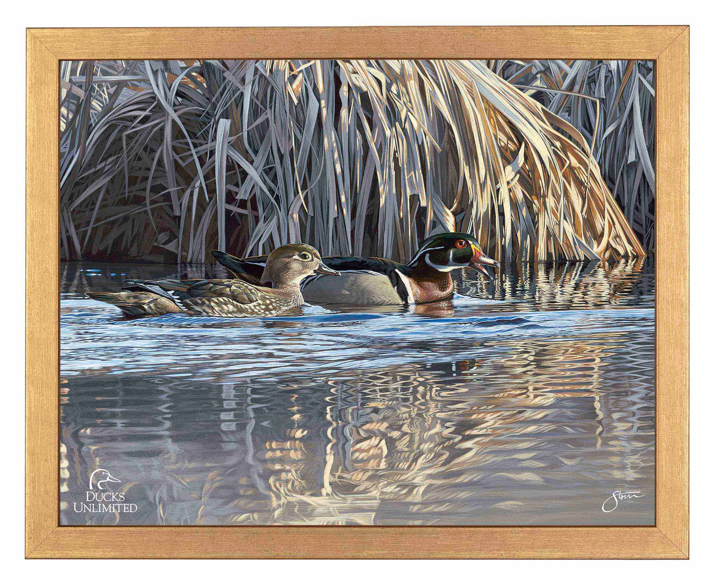 Backwater Gathering Art Prints - Official Ducks Unlimited Art