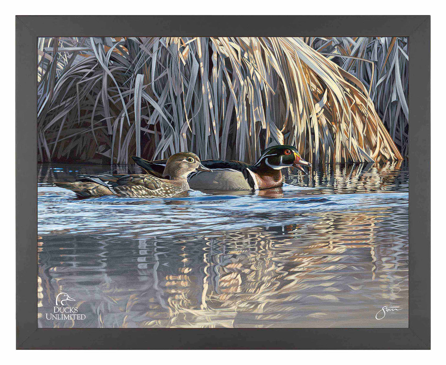 Backwater Gathering Art Prints - Official Ducks Unlimited Art