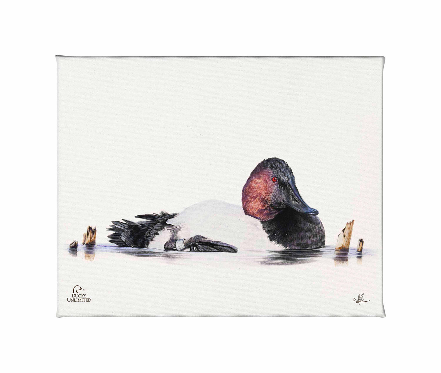 Banded Gallery Wrapped Canvas - Official Ducks Unlimited Art