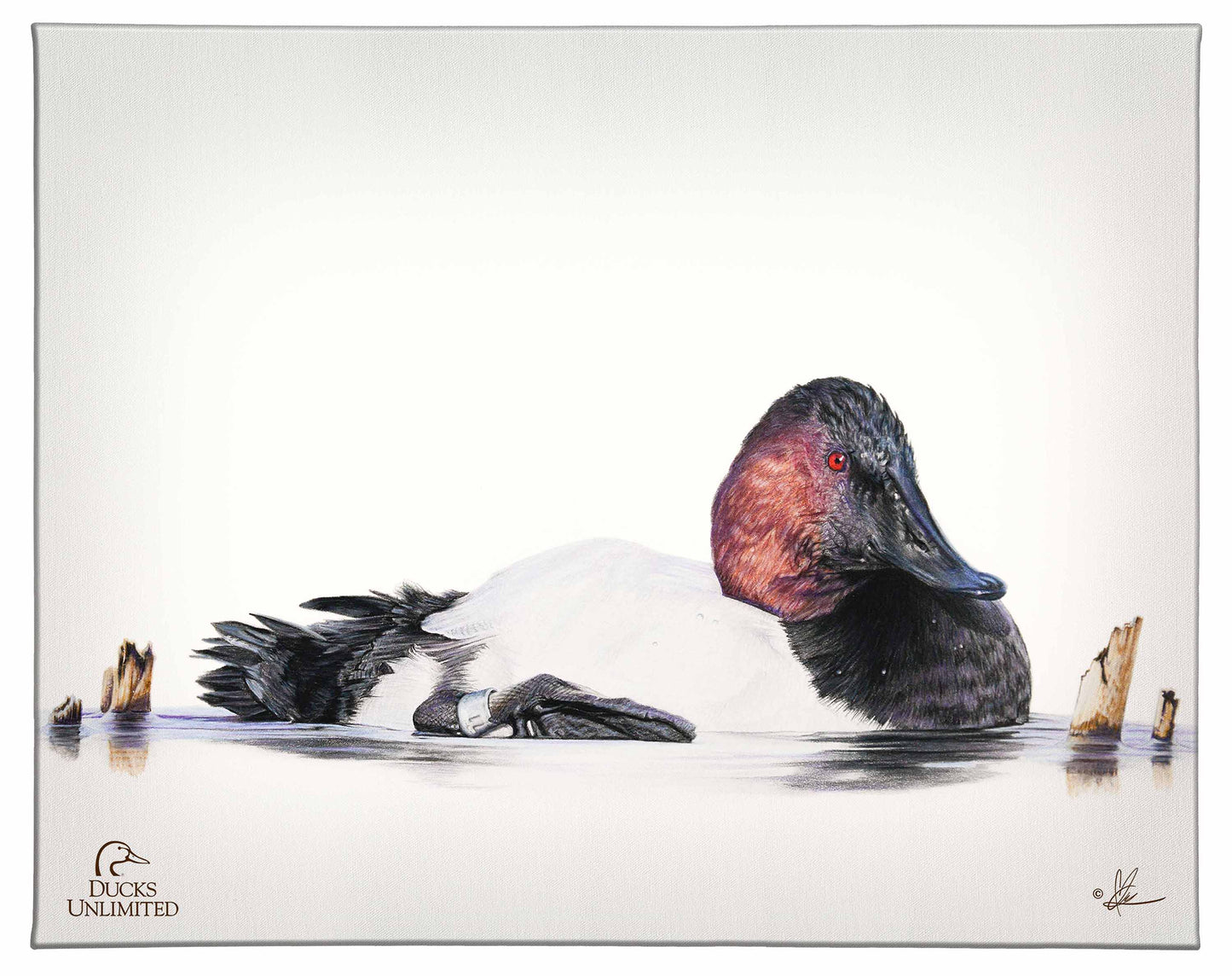 Banded Gallery Wrapped Canvas - Official Ducks Unlimited Art