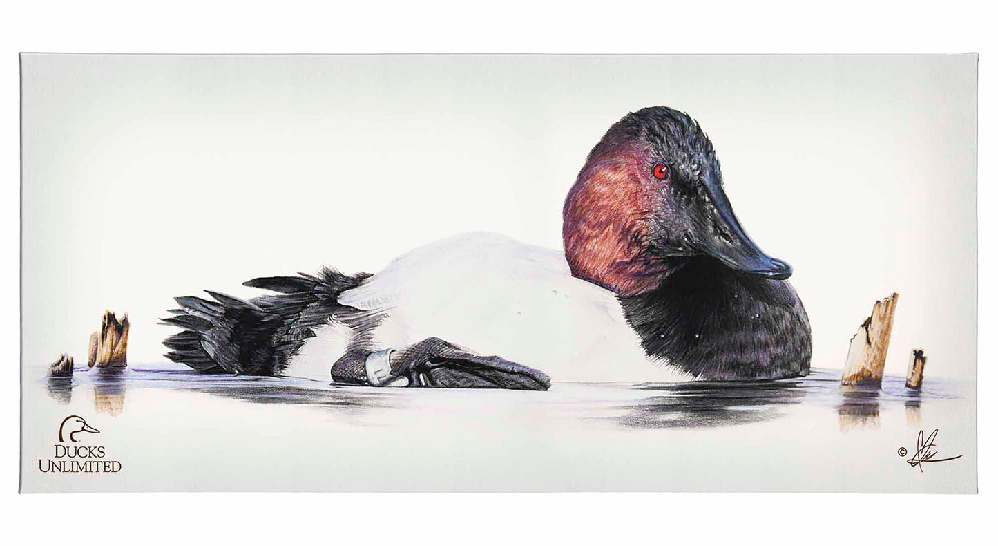 Banded Gallery Wrapped Canvas - Official Ducks Unlimited Art