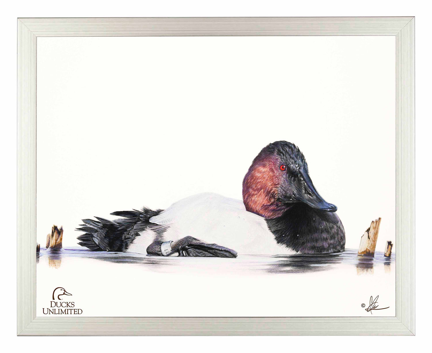 Banded Art Prints - Official Ducks Unlimited Art