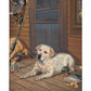 Bountiful Day - Yellow Lab Gallery Wrapped Canvas - Official Ducks Unlimited Art