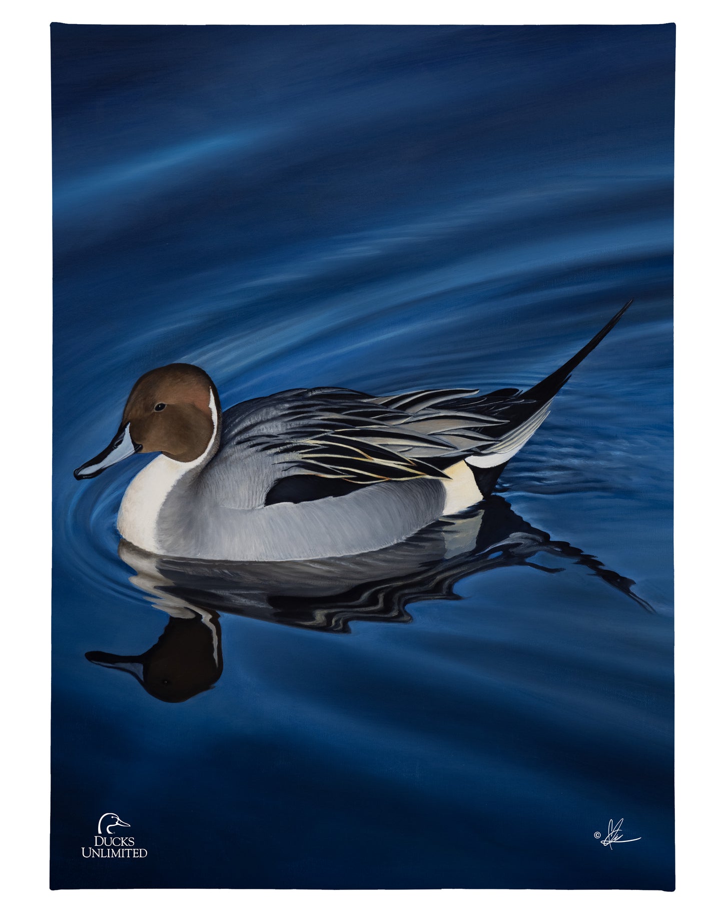 Calm Blue Water Gallery Wrapped Canvas - Official Ducks Unlimited Art
