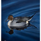 Calm Blue Water Gallery Wrapped Canvas - Official Ducks Unlimited Art