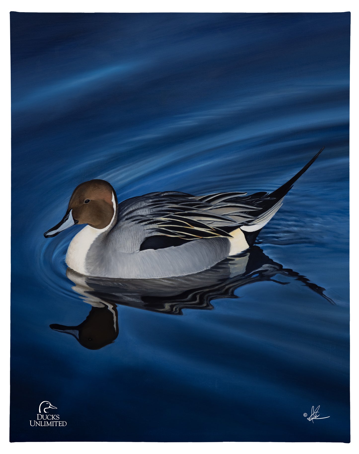 Calm Blue Water Gallery Wrapped Canvas - Official Ducks Unlimited Art